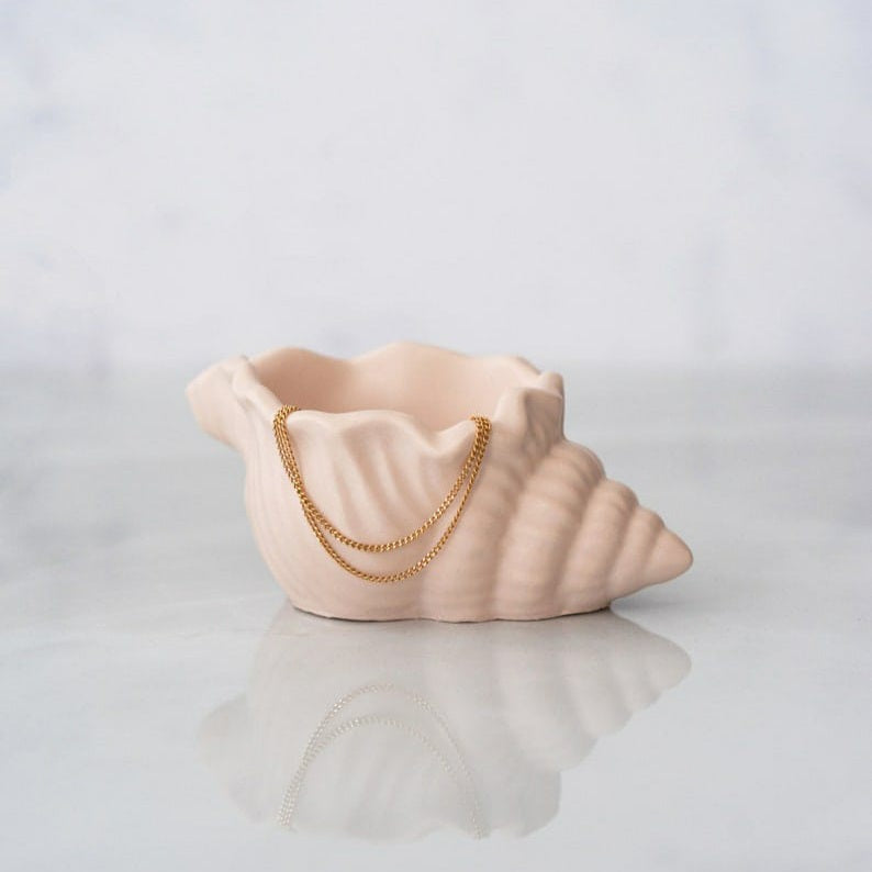 Conch Seashell Pots