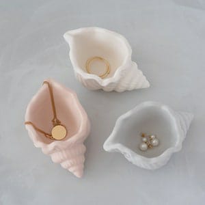 Conch Seashell Pots