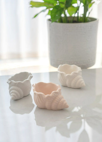 Conch Seashell Pots