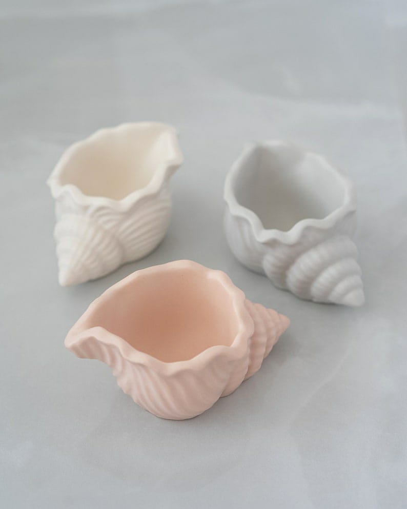 Conch Seashell Pots