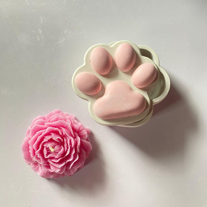 Set of Two- paw box and peony