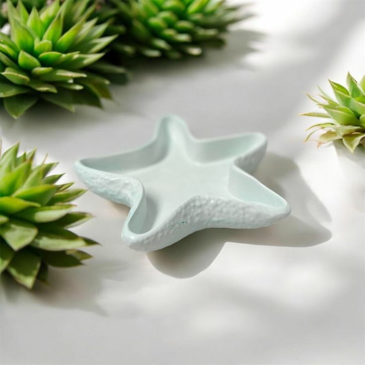 Starfish Tray